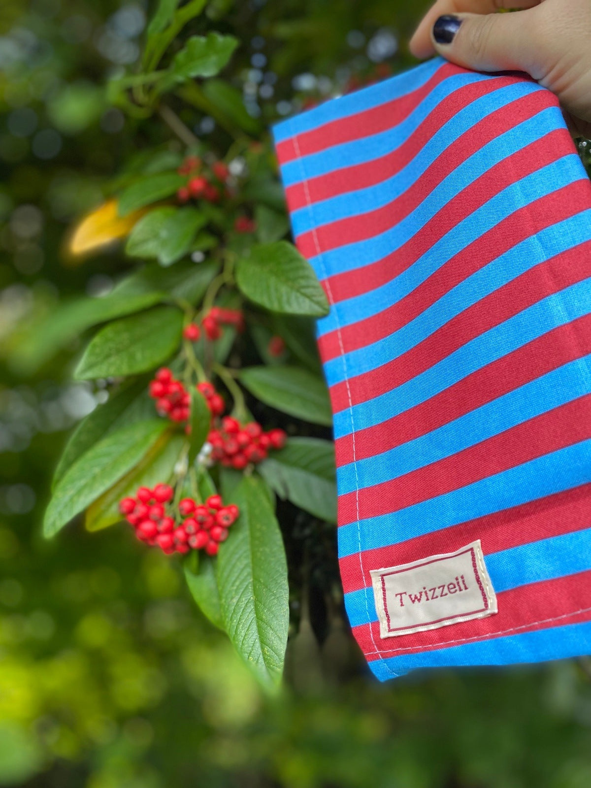 Napkins Set of 4 - Red and Blue Stripe