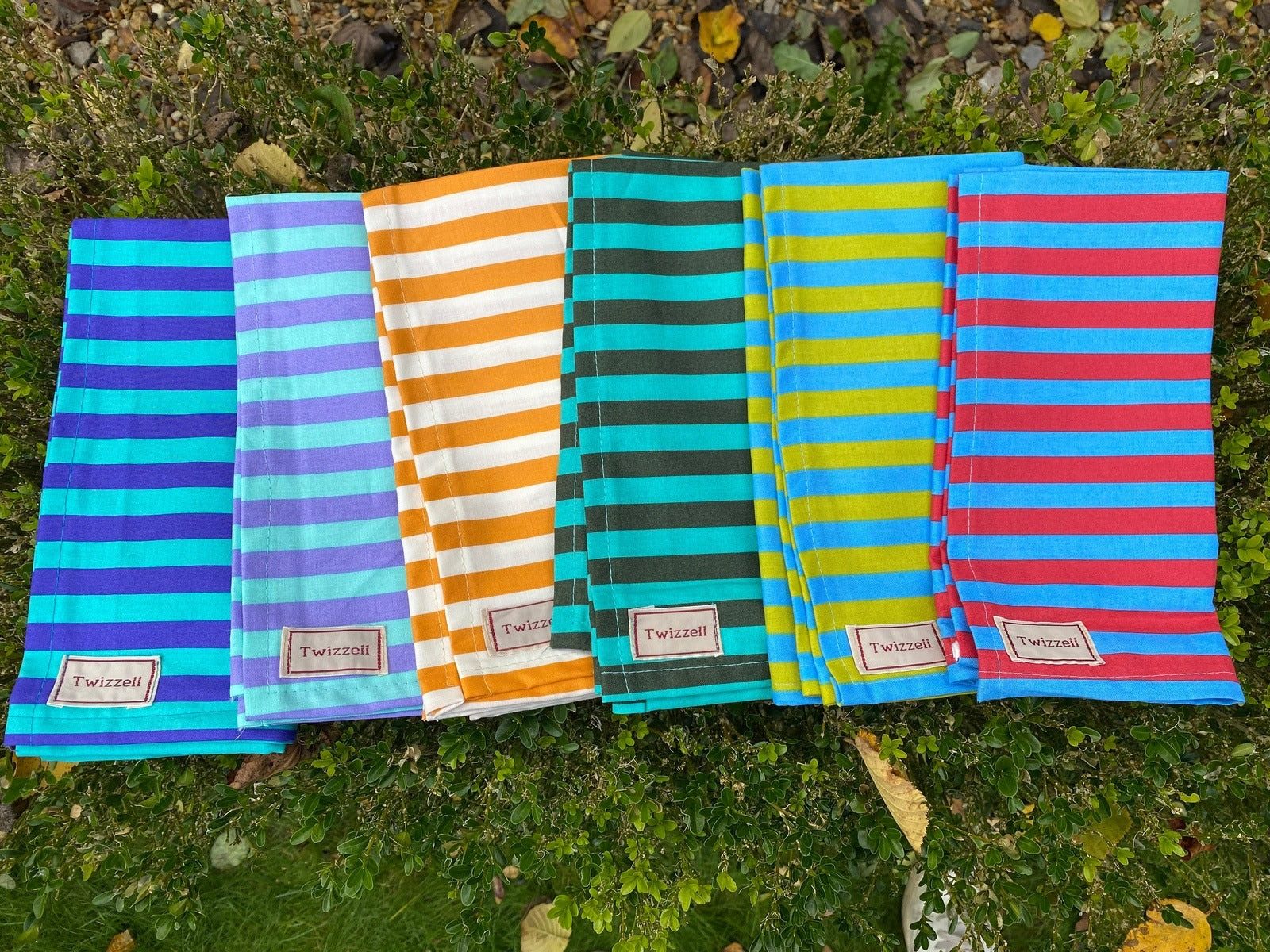 Napkins Set of 4 - Lime and Blue Stripe