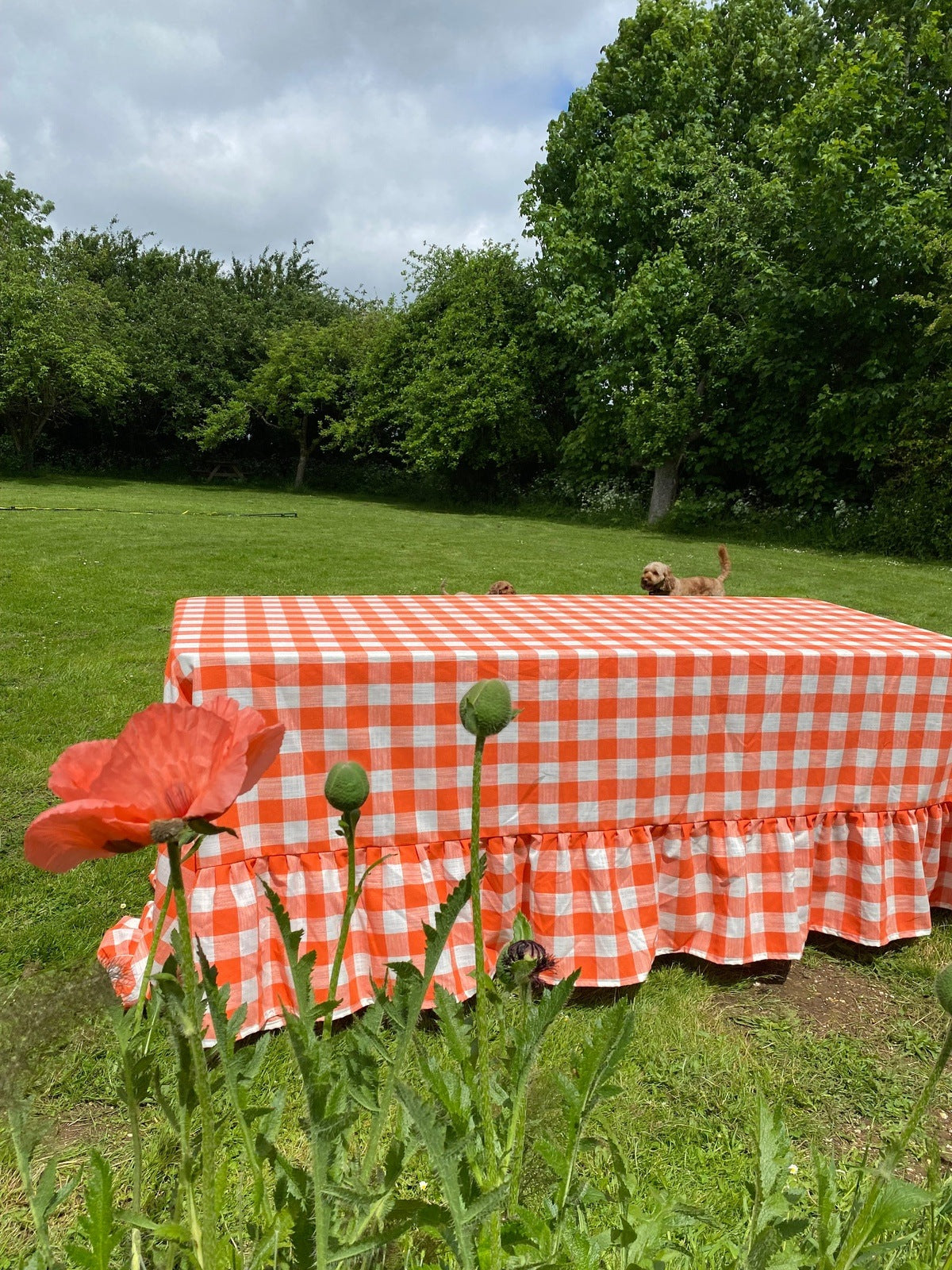Orange Gingham Ruffle Tablecloth