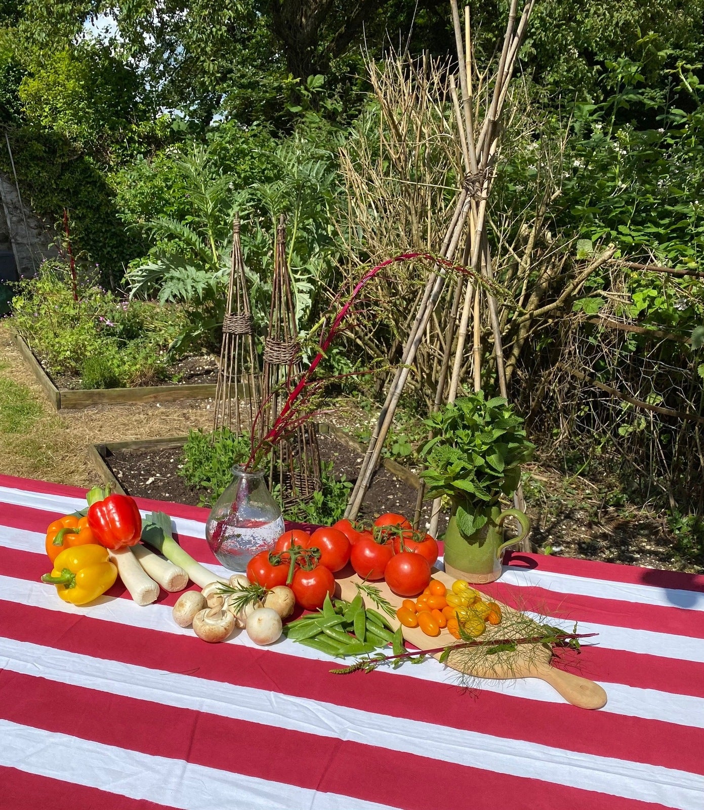 Red Stripe Tablecloth