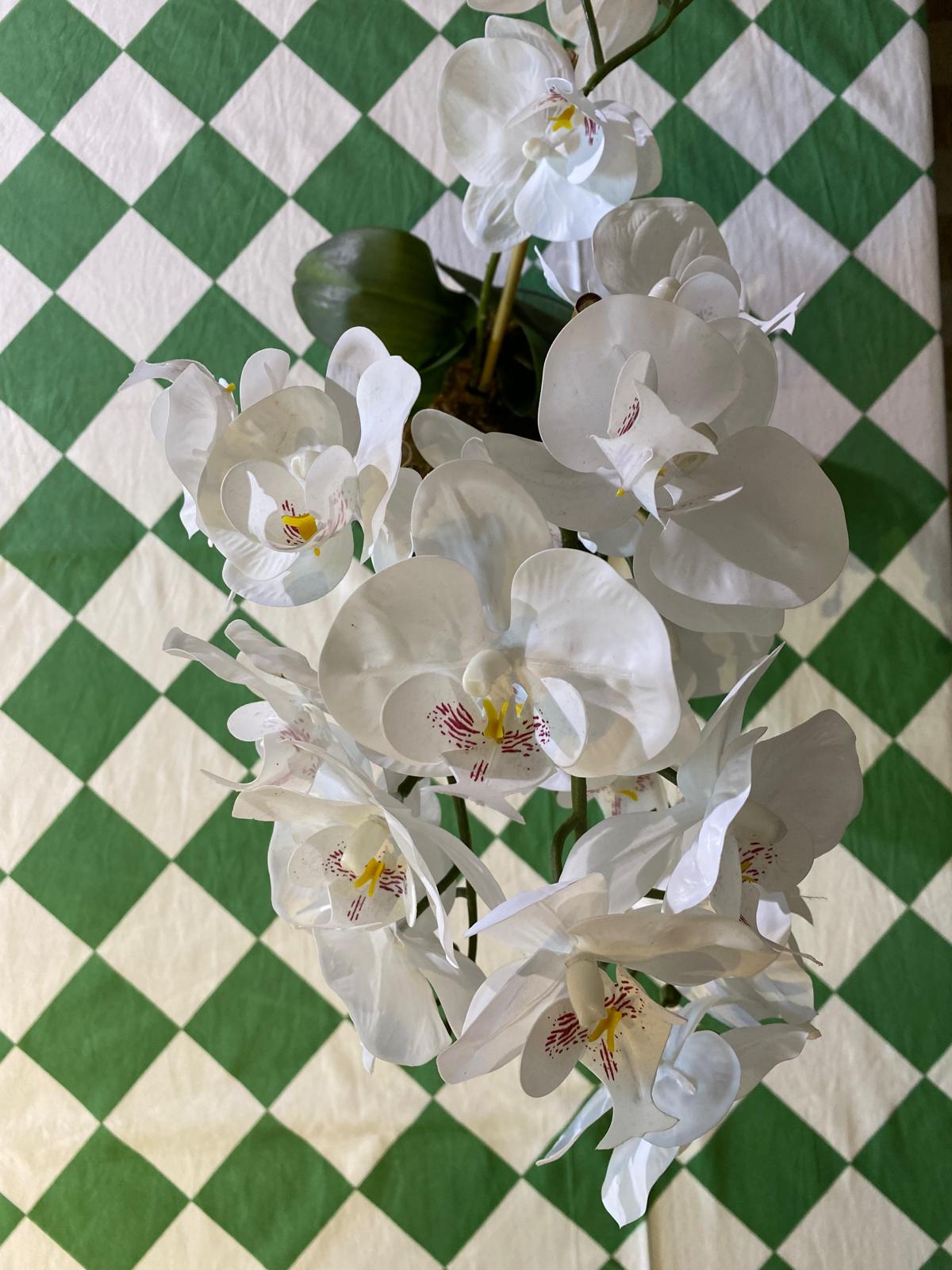 Green Harlequin Tablecloth