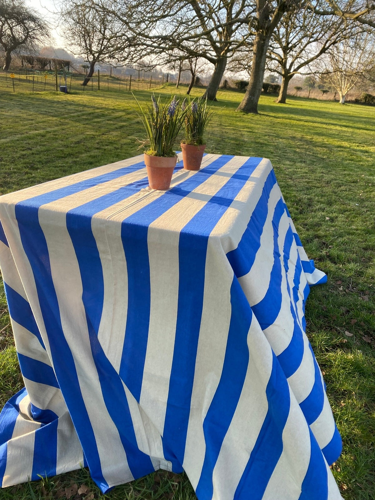 Indian Block Print Tablecloth - Blue and Beige Stripe