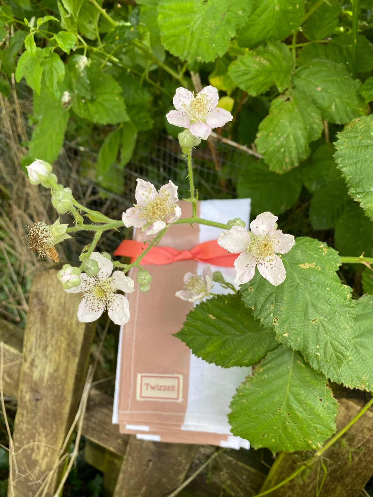 Beige Stripe Napkin x 4