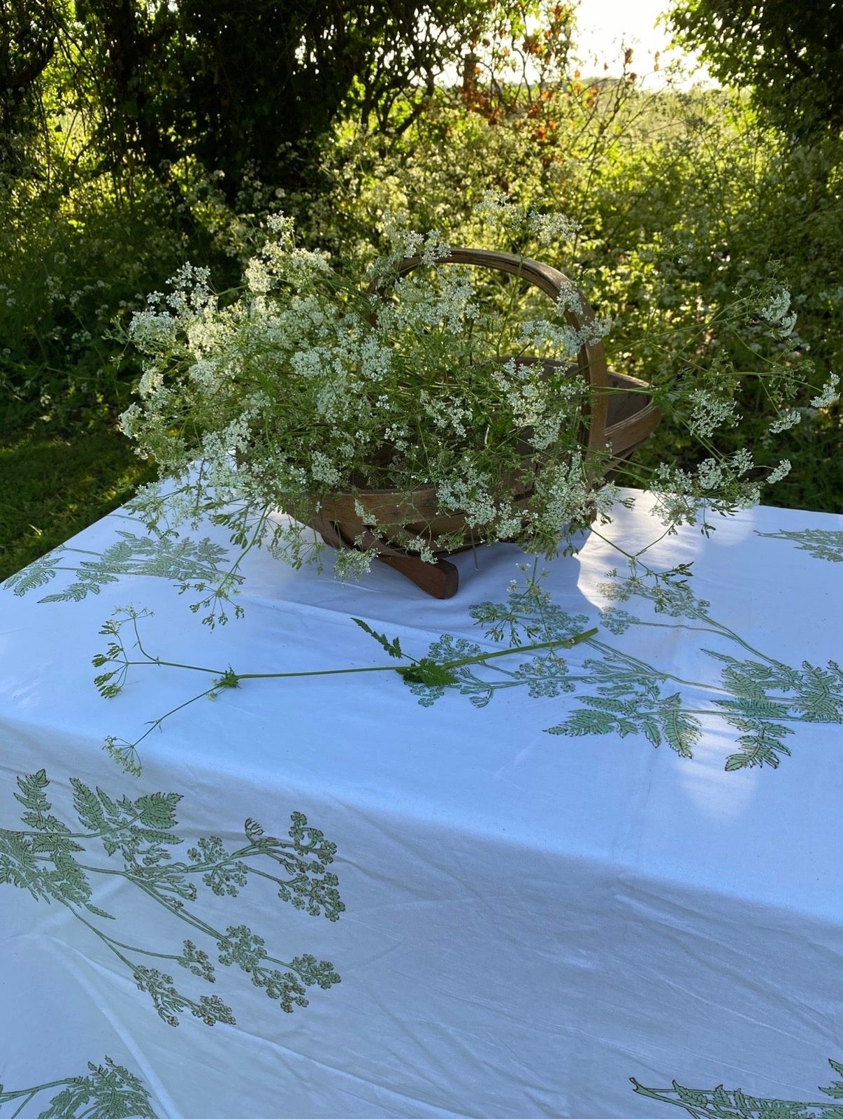 SECONDS Sage Cow Parsley Tablecloth