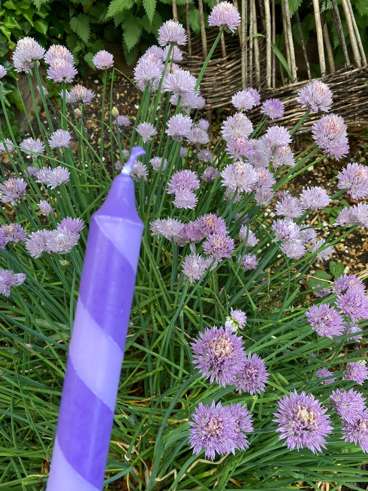 Lilac and Dark Purple Helter Skelter Candle