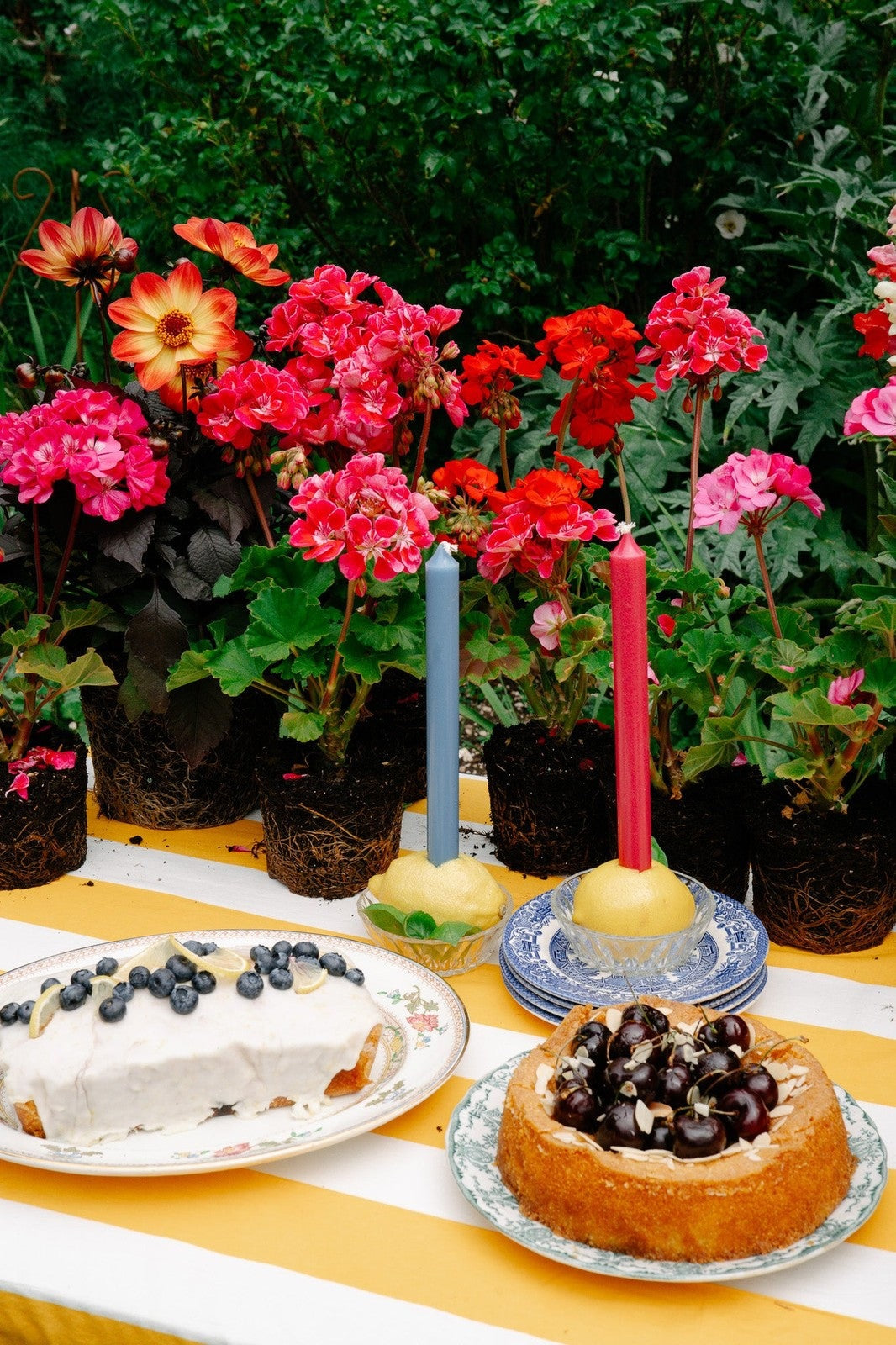Yellow Stripe Tablecloth
