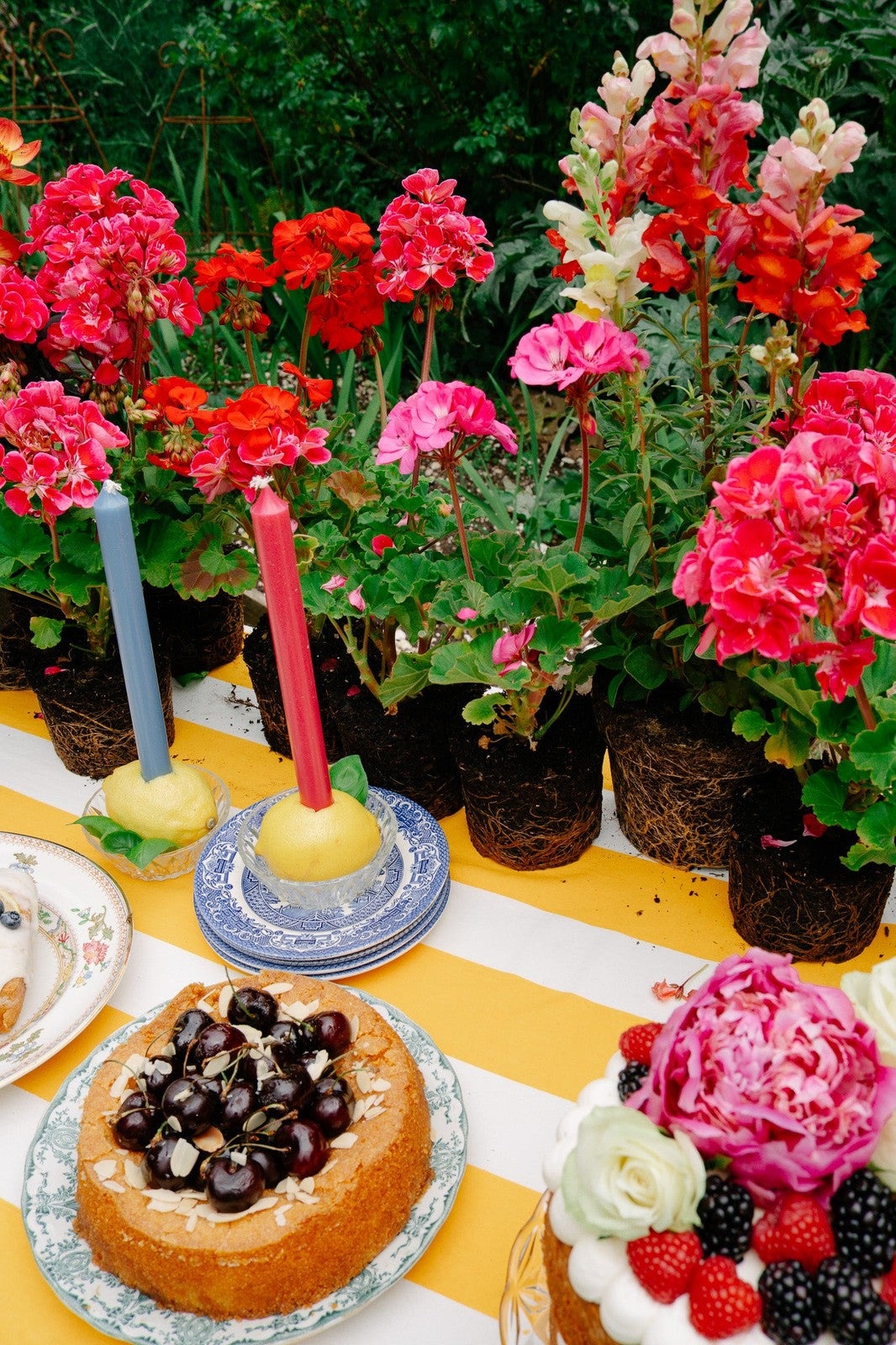 Yellow Stripe Tablecloth