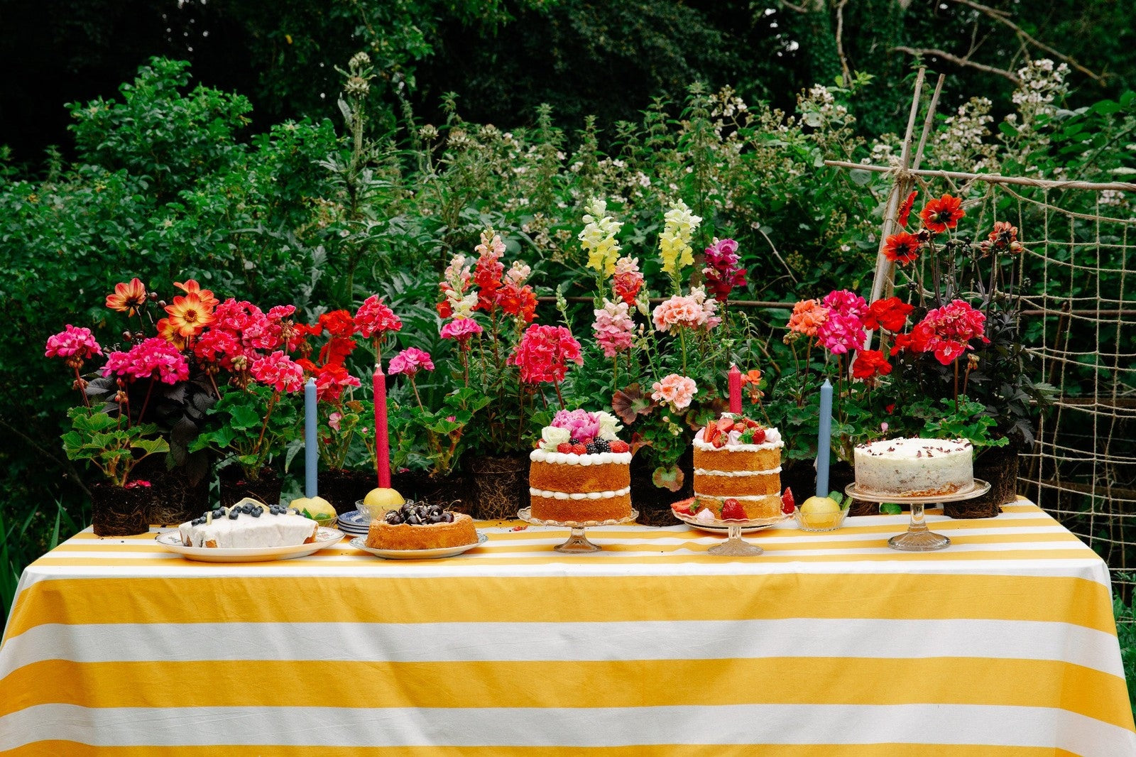 Yellow Stripe Tablecloth