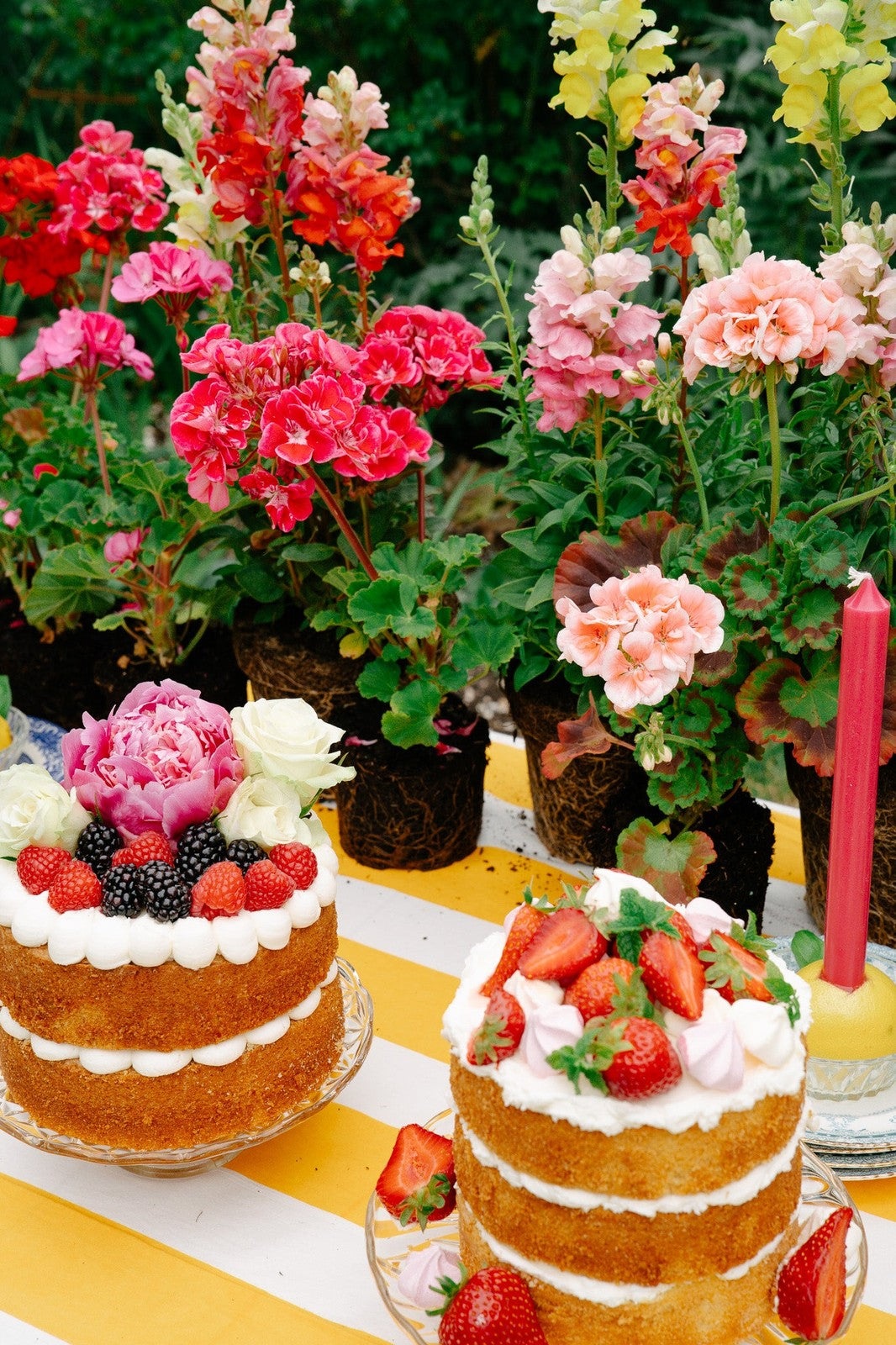 Yellow Stripe Tablecloth