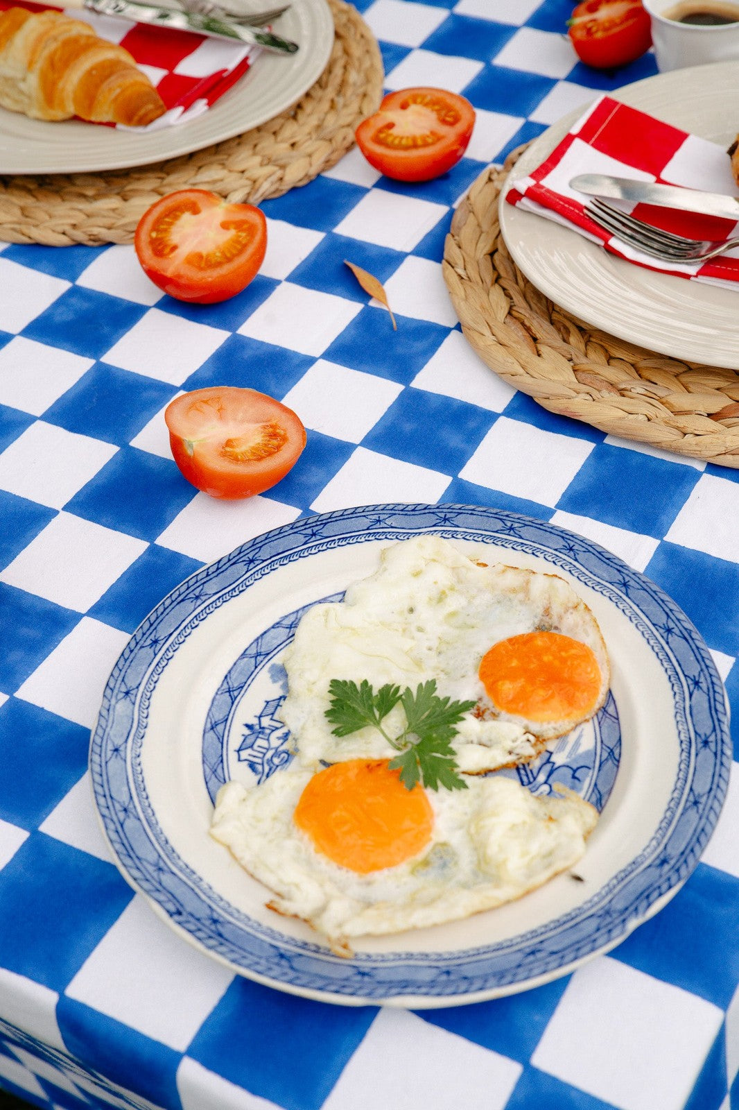 Blue and White Checkerboard Tablecloth