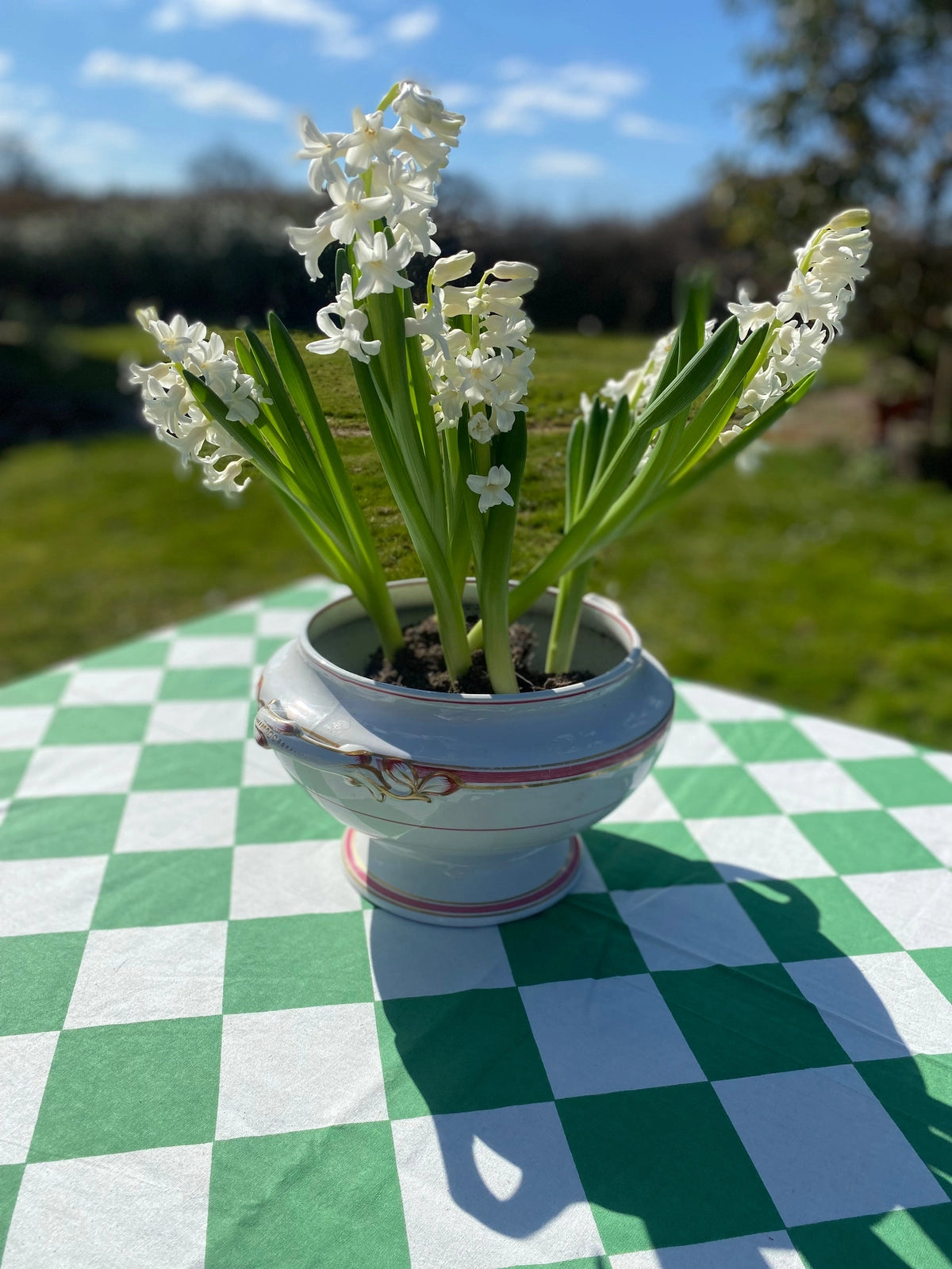 Green Harlequin Tablecloth