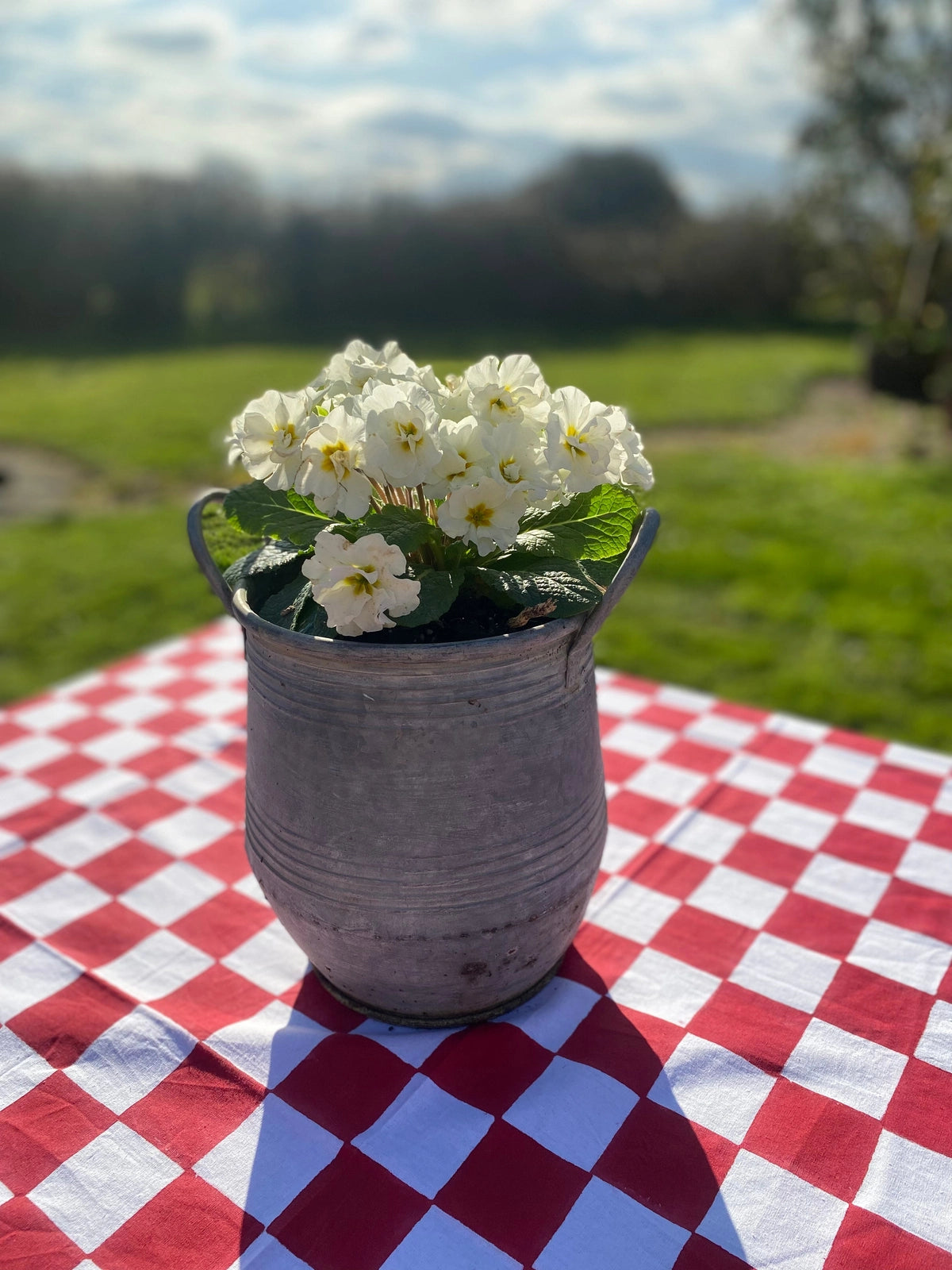 SECONDS Indian Block Print Tablecloth - Red Checkerboard