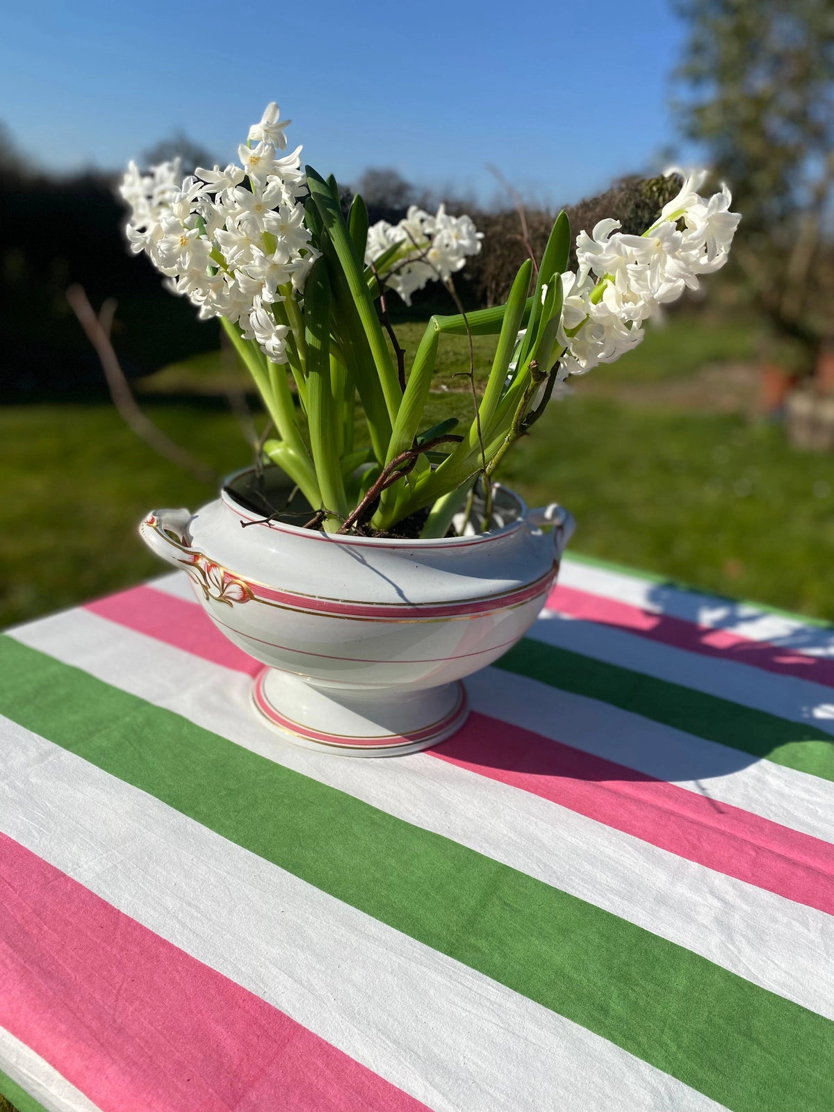 Pink, Sage and White Stripe Tablecloth