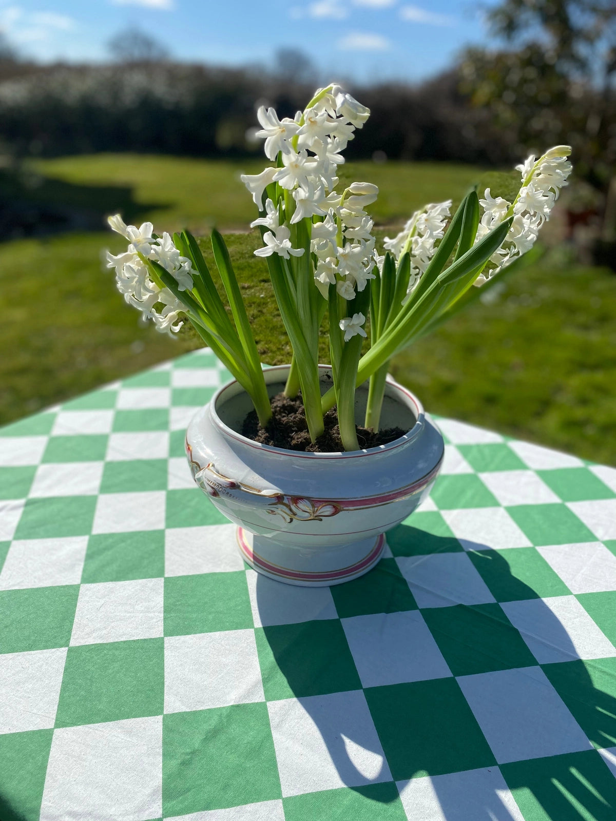 Green Harlequin Tablecloth