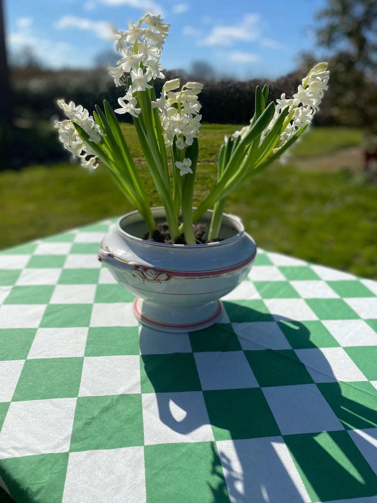 Green Harlequin Tablecloth