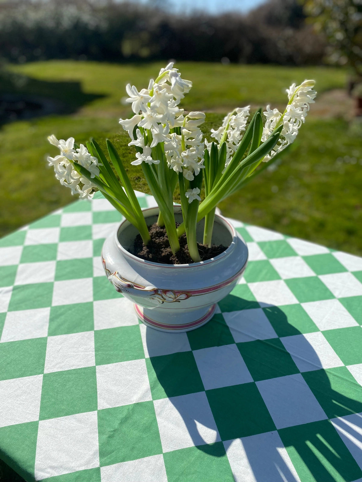 Green Harlequin Tablecloth
