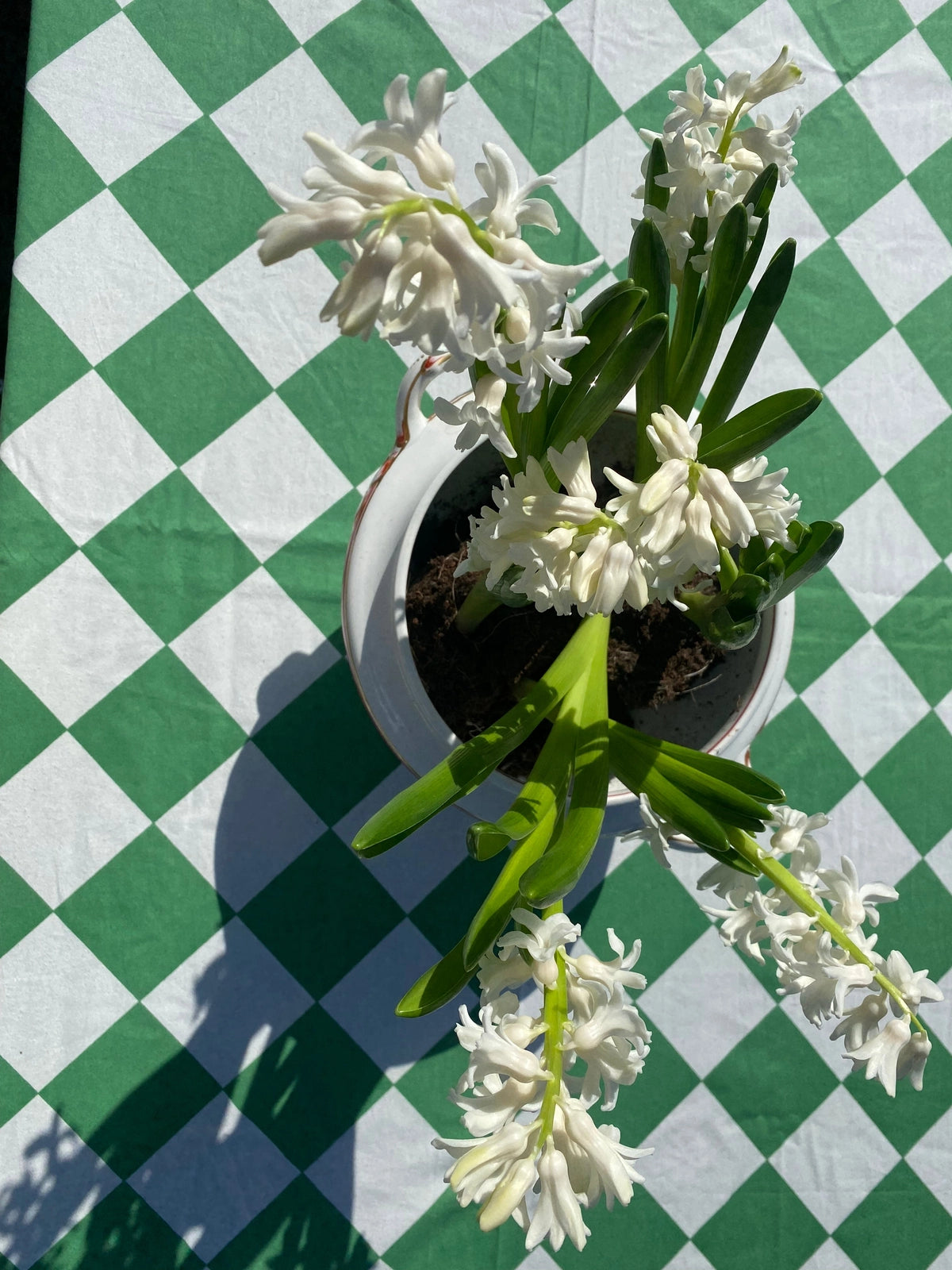 Green Harlequin Tablecloth