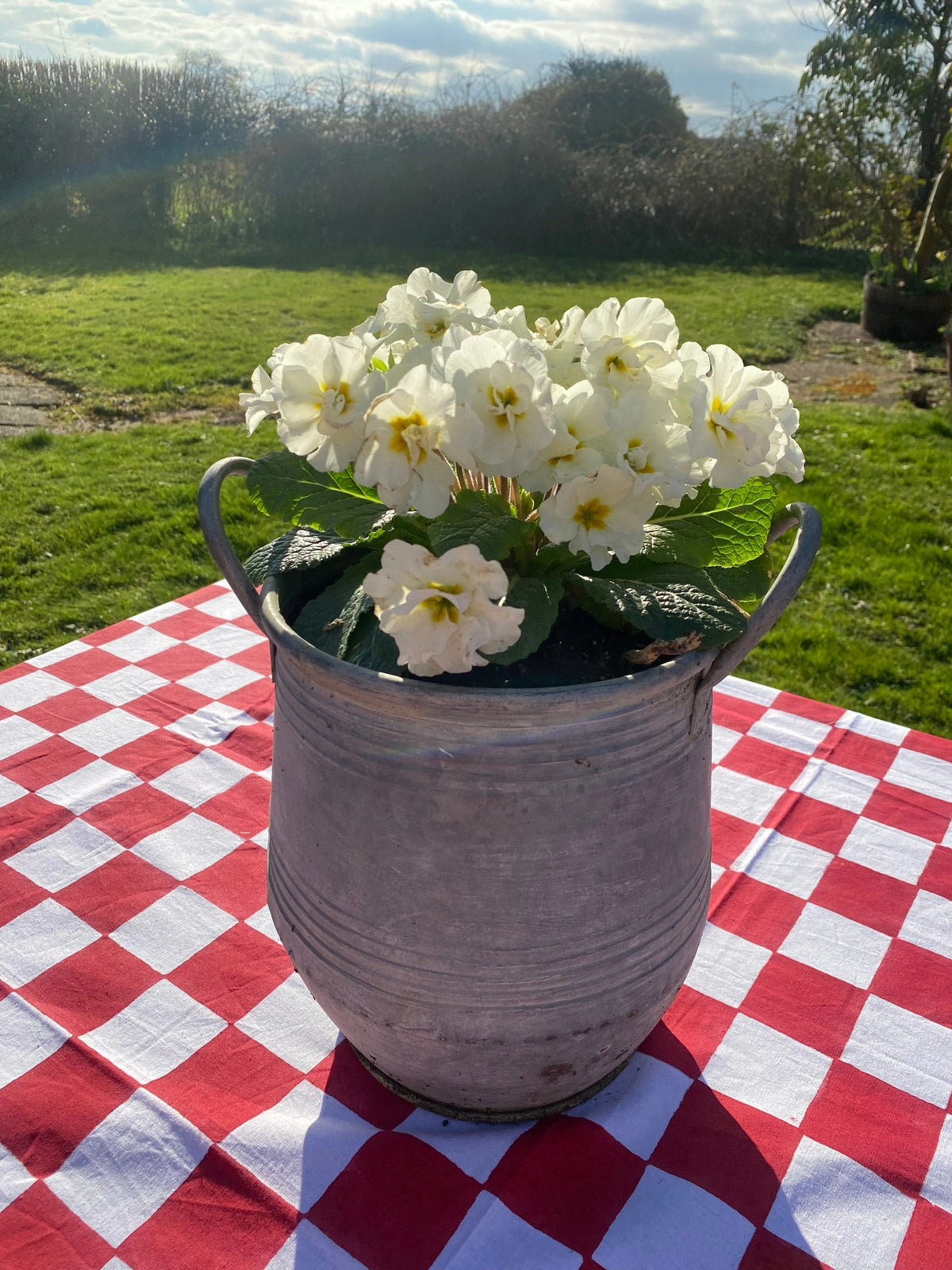 SECONDS Indian Block Print Tablecloth - Red Checkerboard