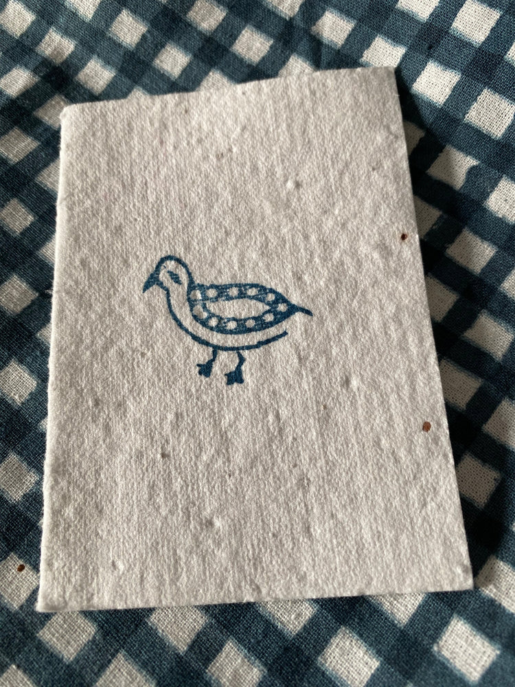 Seagull