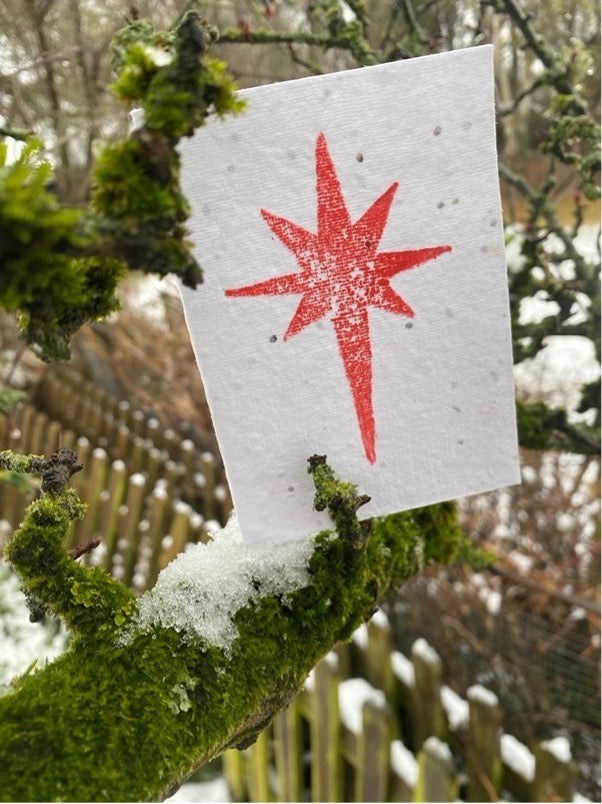 Star - Nativity