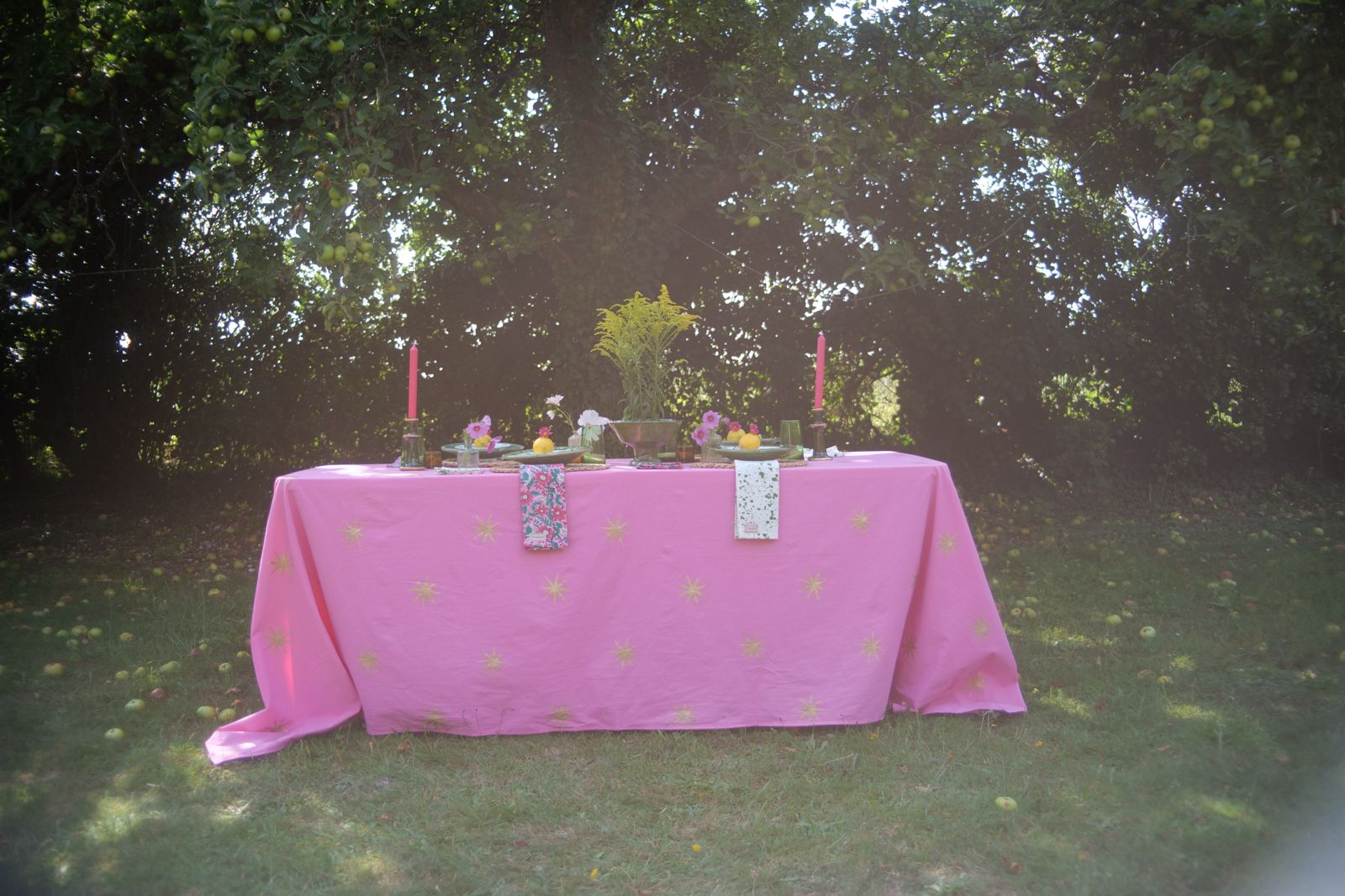 Pink Star Tablecloth