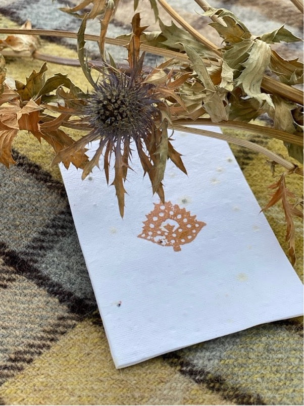 Mini Thistle