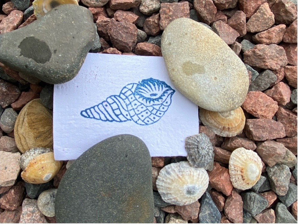 Shell - Twisted