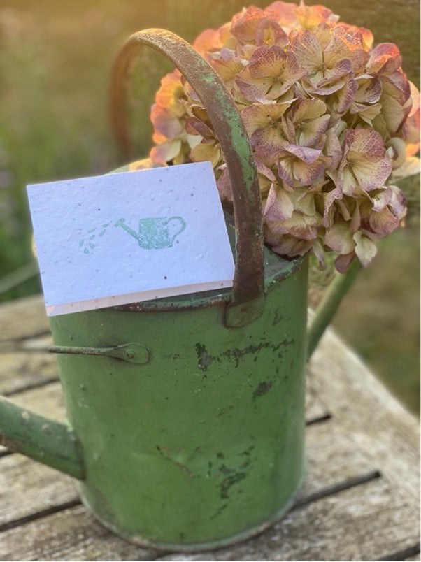 Watering Can
