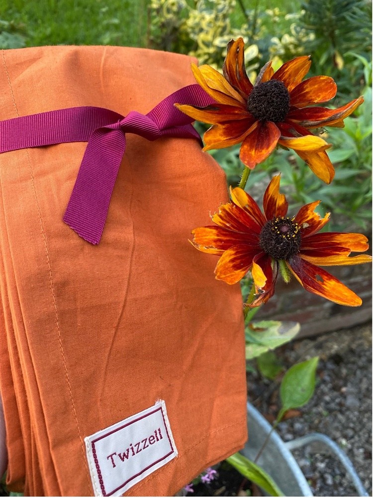Cotton Napkins Set of 4 - Burnt Orange