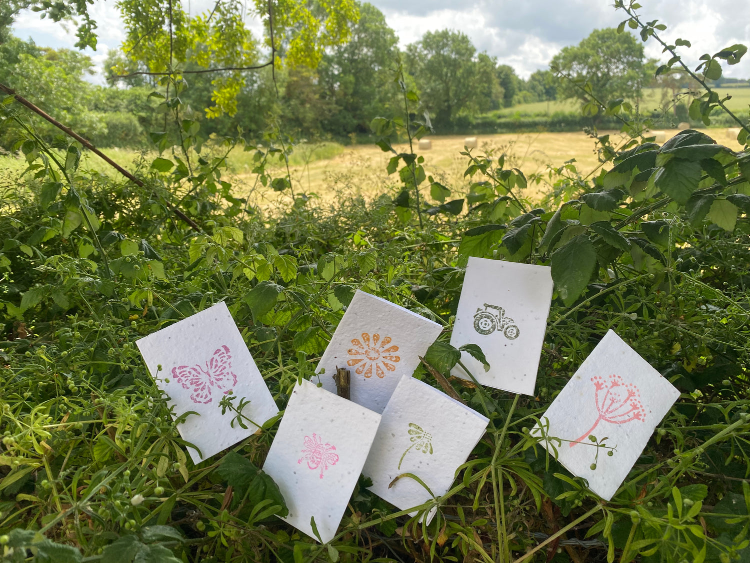 Cards