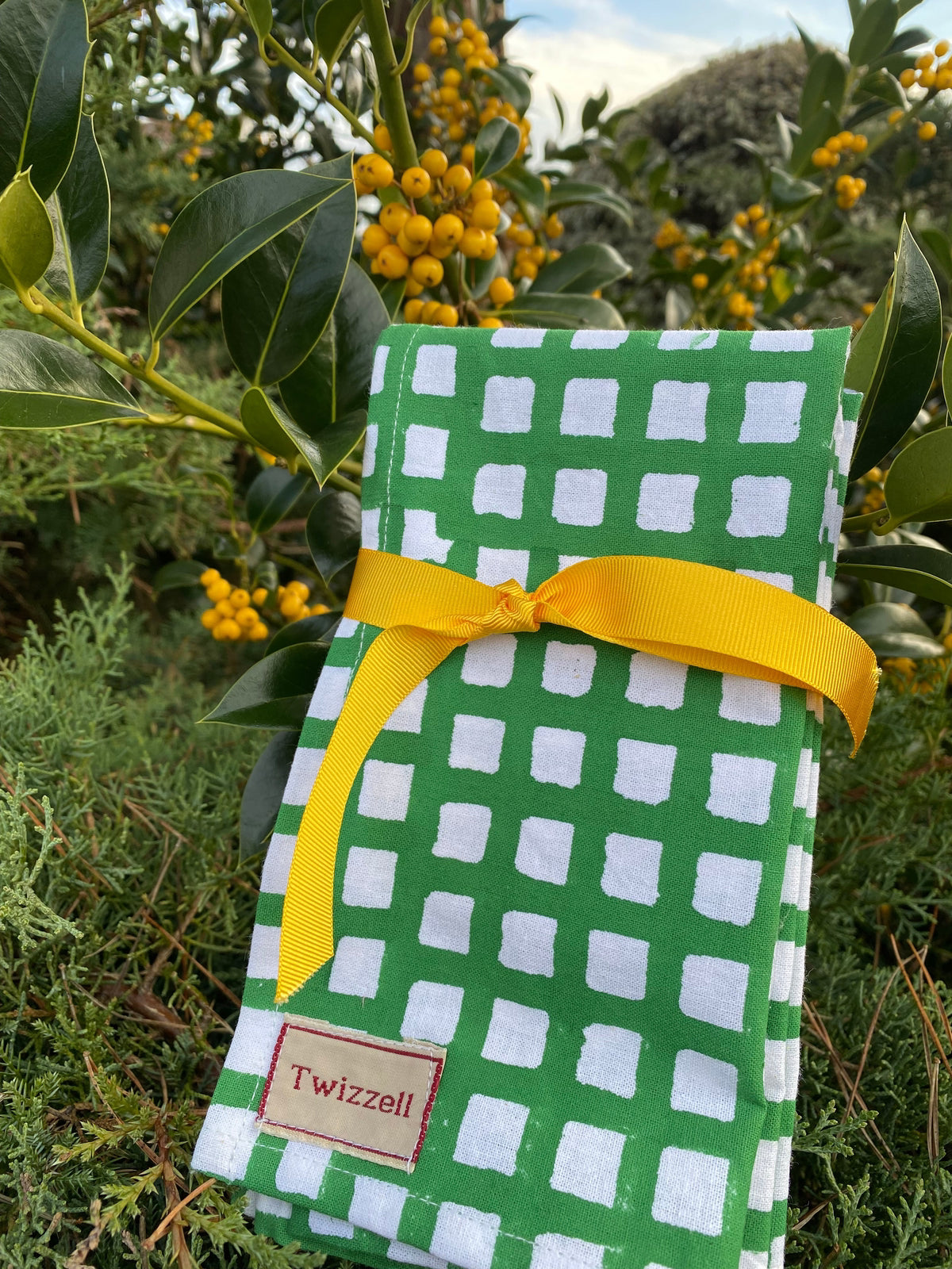 Indian Block Print Napkins Set of 4 - Green and White Check