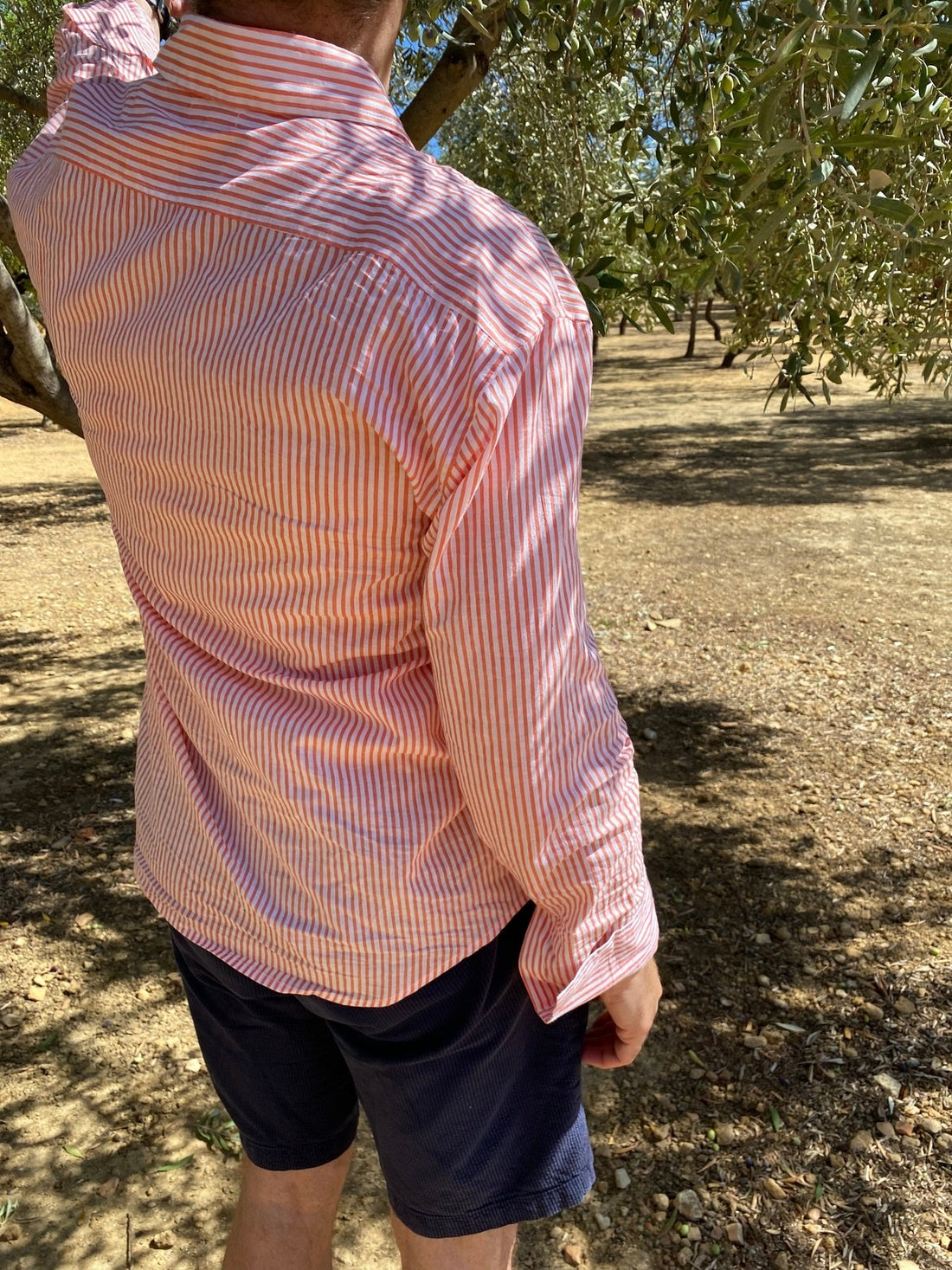 Juno Stripe Shirt