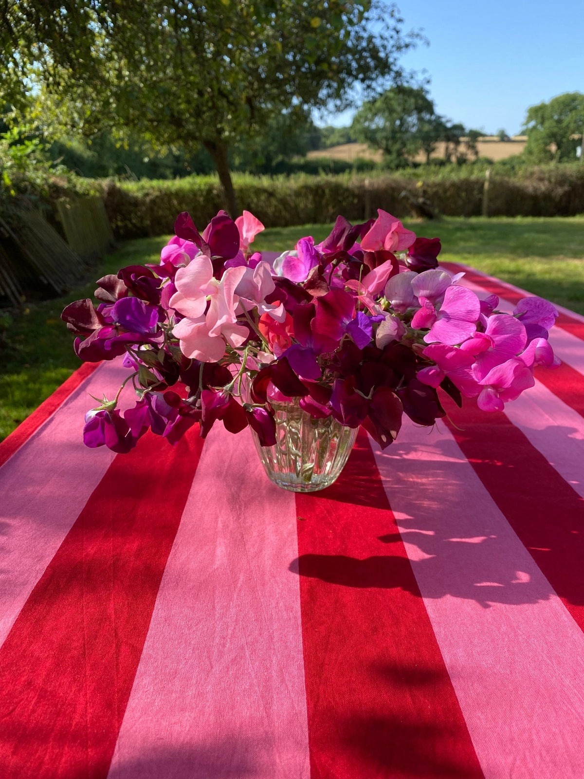 Indian Block Print Tablecloth - Pink and Red Stripe