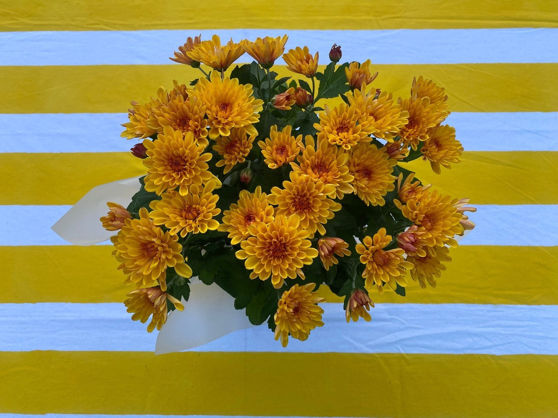 Indian Block Print Tablecloth - Yellow Stripe