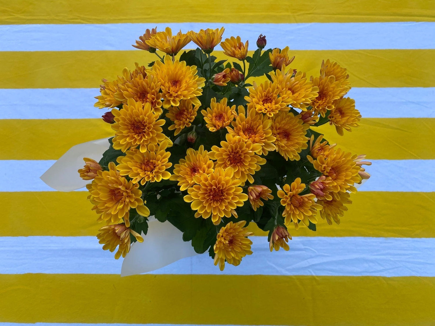 Indian Block Print Tablecloth - Yellow Stripe