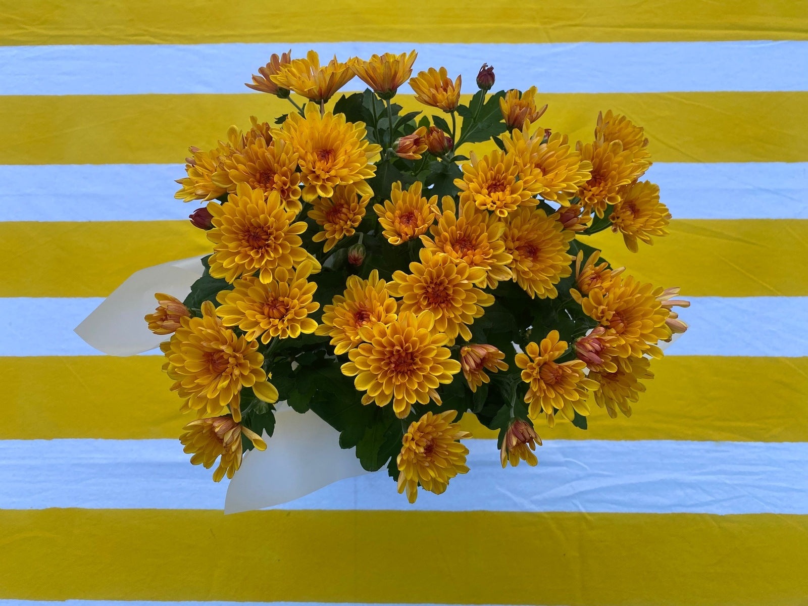 Indian Block Print Tablecloth - Yellow Stripe