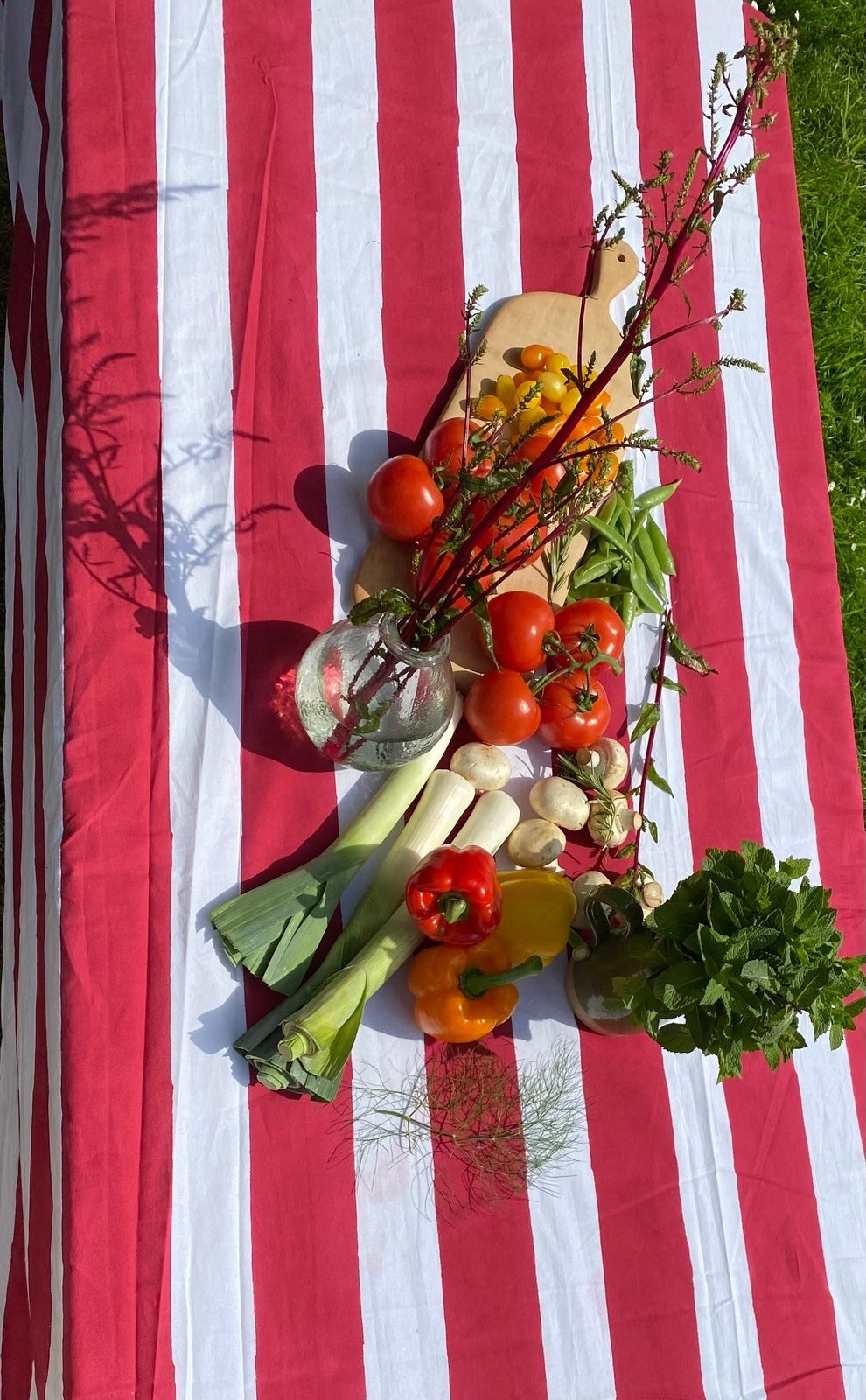 Indian Block Print Tablecloth - Red Stripe