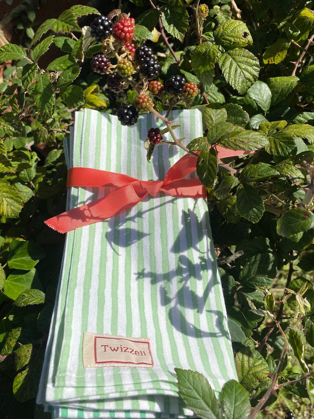 Seconds Indian Block Print Napkins Set of 4 - Thin Sage Stripe