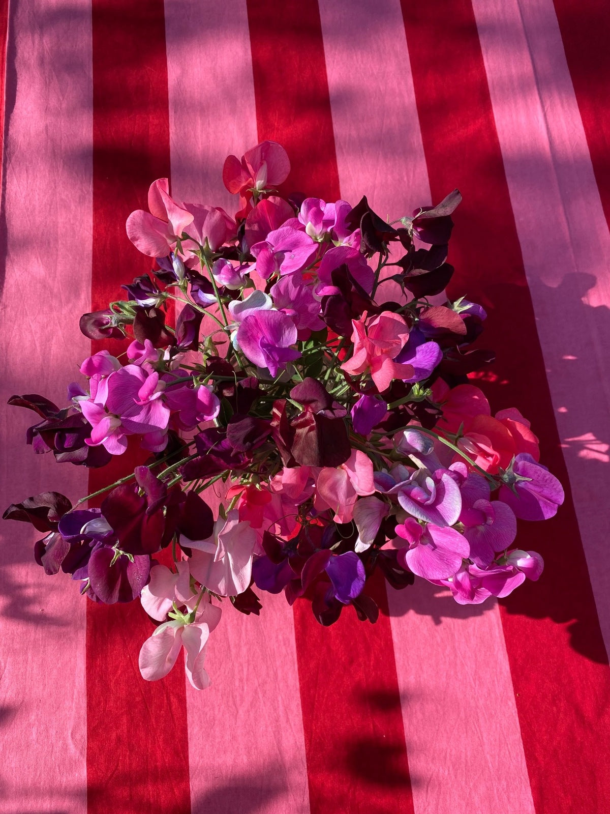 Indian Block Print Tablecloth - Pink and Red Stripe