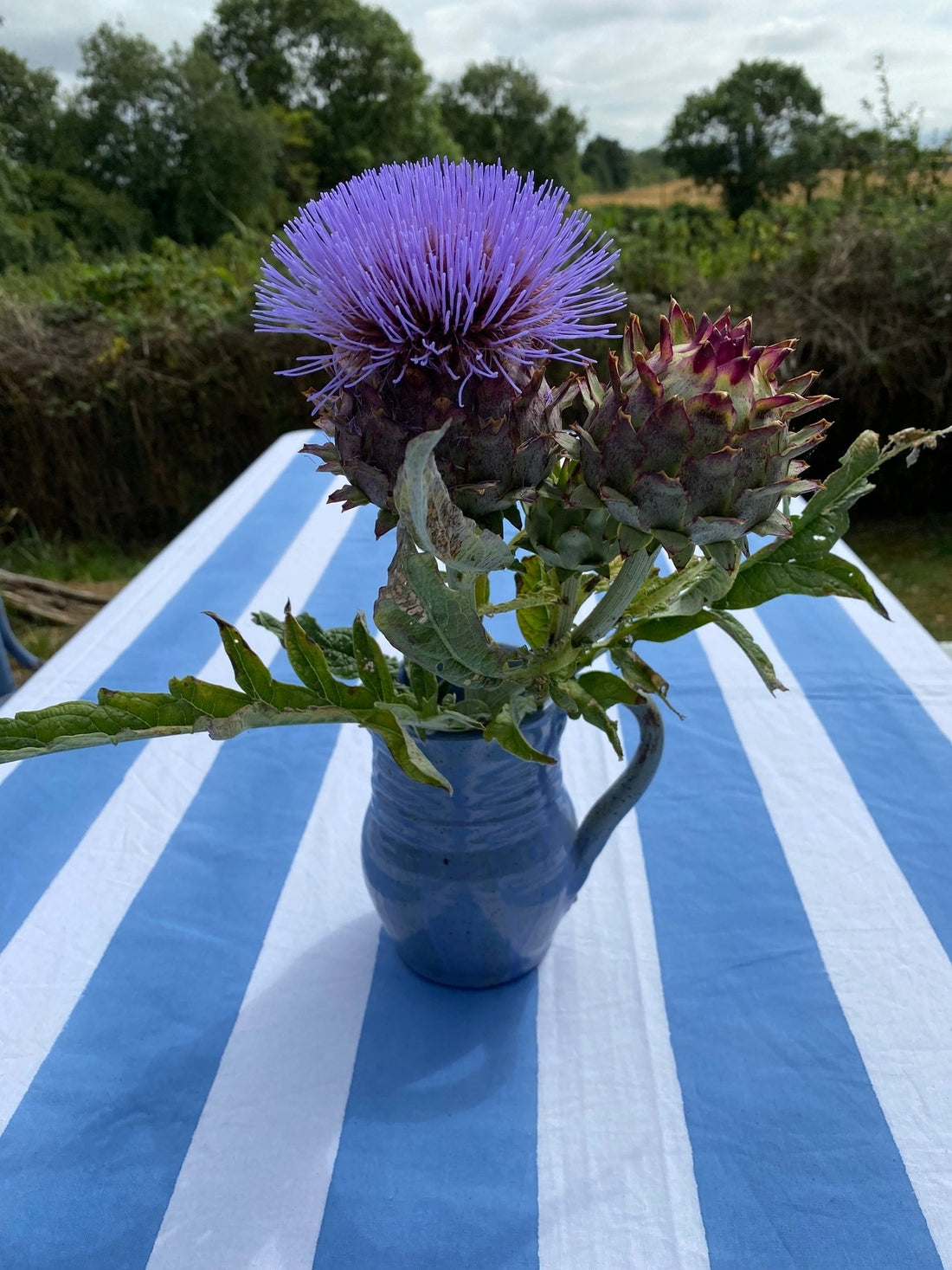 Pastel Blue Stripe Tablecloth