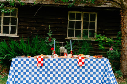 Red and White Checkerboard Napkins X 4