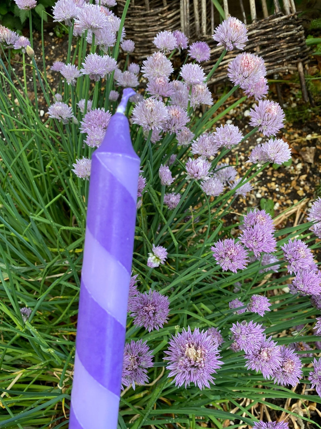 Lilac and Dark Purple Helter Skelter Candle