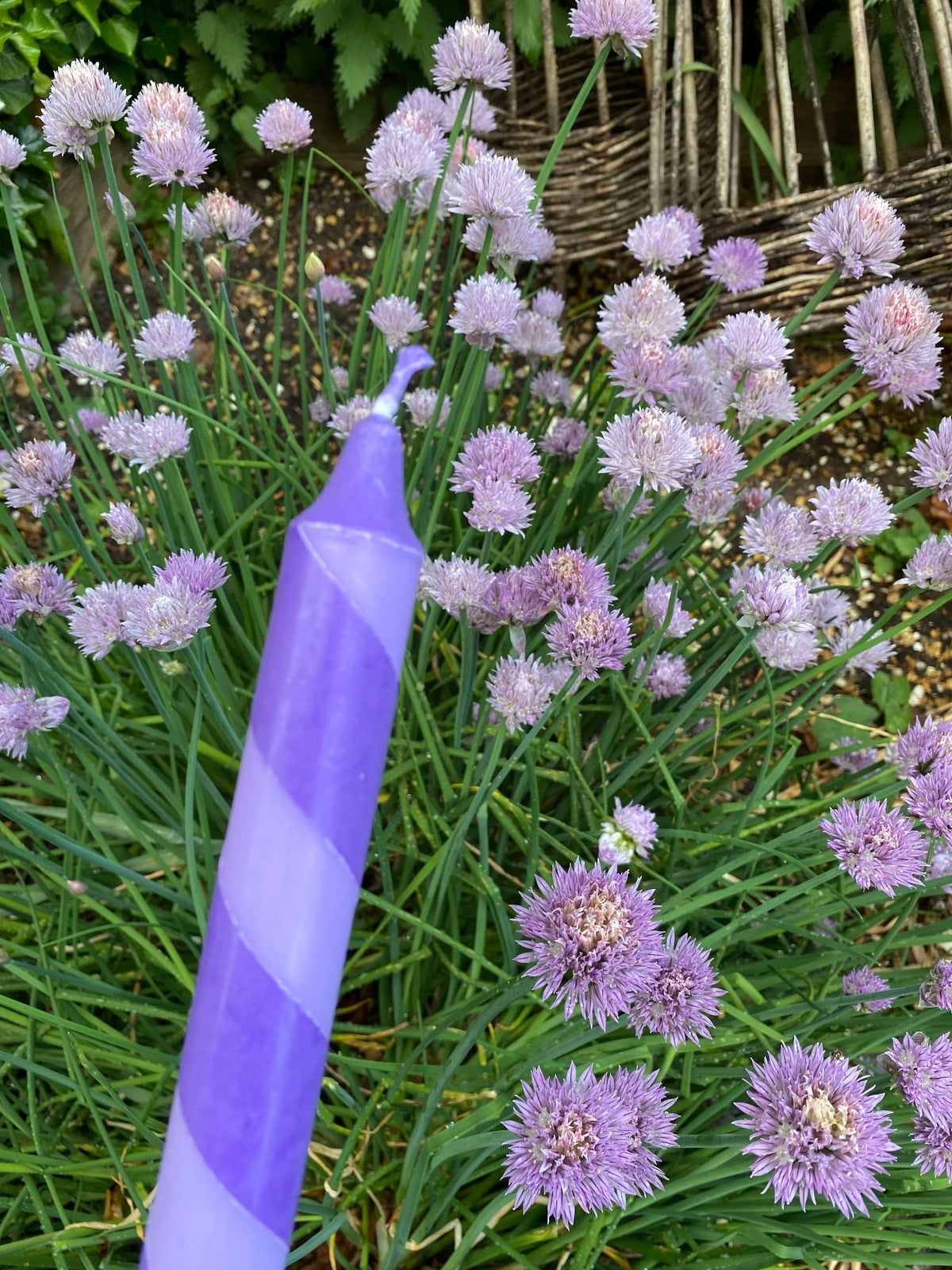 Lilac and Dark Purple Helter Skelter Candle