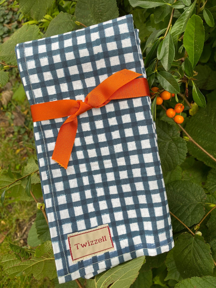 Indian Block Print Napkins Set of 4 - Navy and White Check
