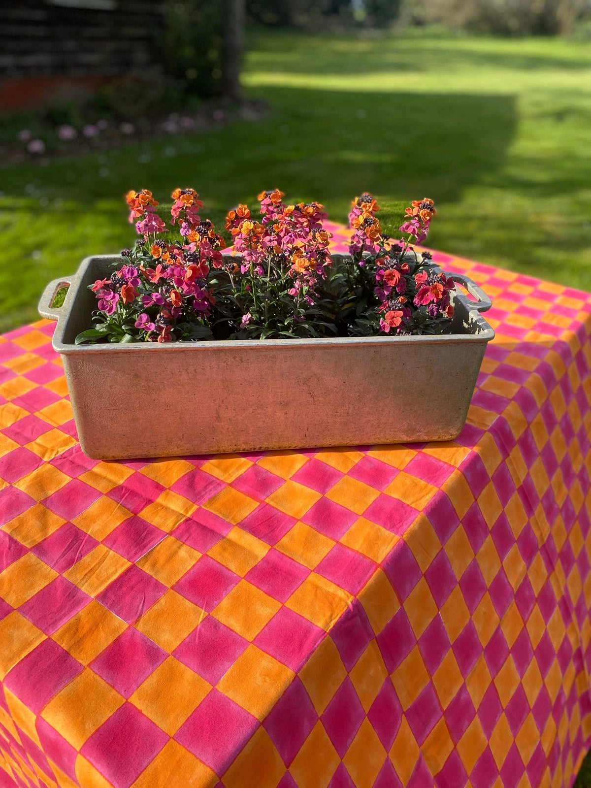 Pink and Yolk Checkerboard Tablecloth